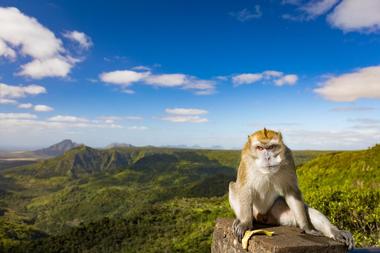 Black River Gorges National Park