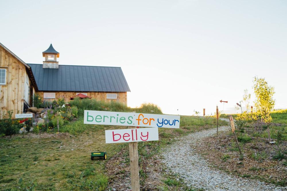 If You’re After Sweet Moments and Scenic Rows, Pick Your Own at Adam’s Berry Farm