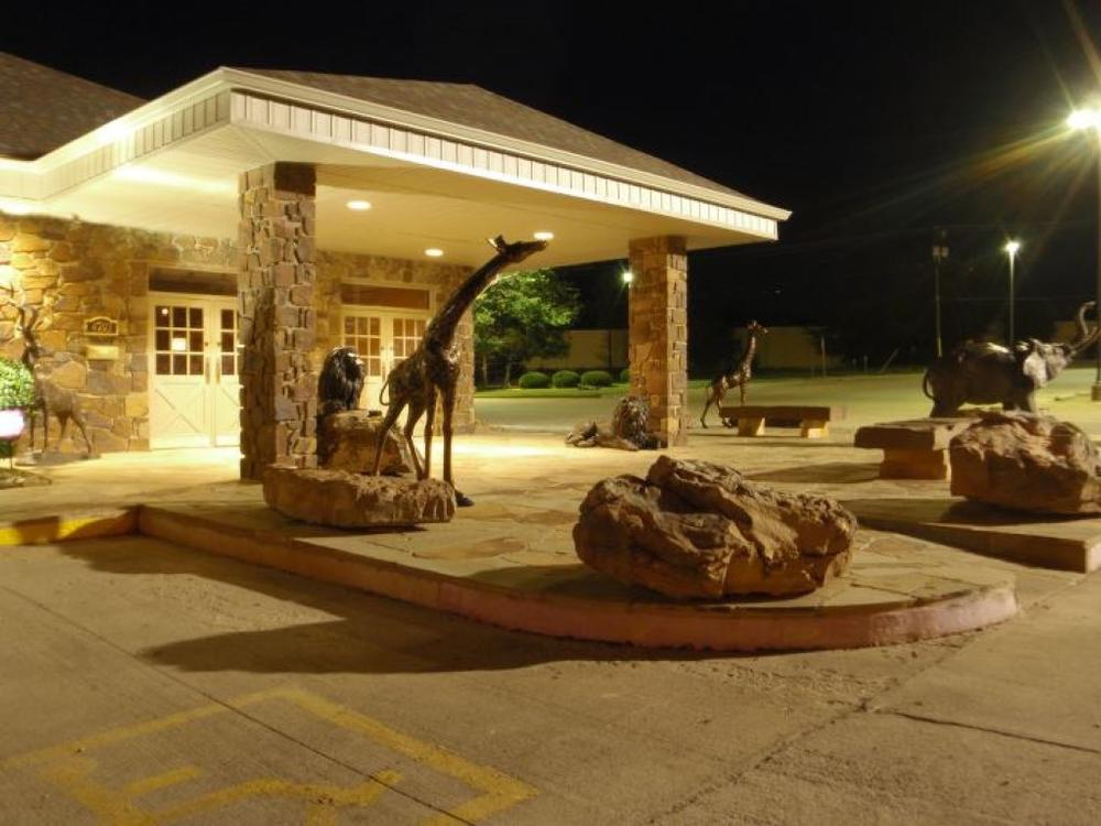 Explore Rare and Exotic Collections at Harber Wildlife Museum