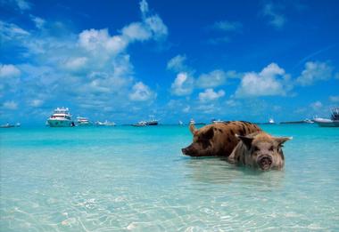 Getting to Exuma from Nassau by Plane or Boat