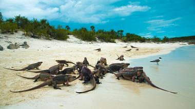 Important Information and Things to Do at Exuma