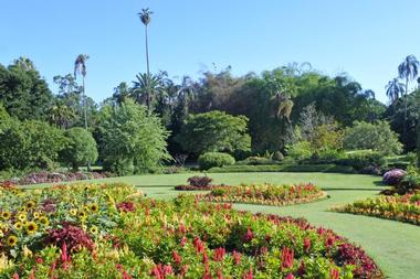 City Botanic Gardens