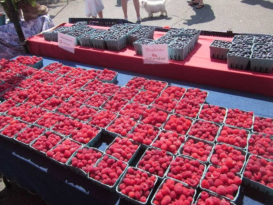 Pick Apples, Shop Local, and Enjoy the View at Cider Hill Farm