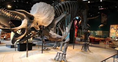 Science Museum of Minnesota