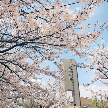 Grand Ambassador Seoul Associated with Pullman