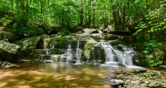 Shenandoah National Park