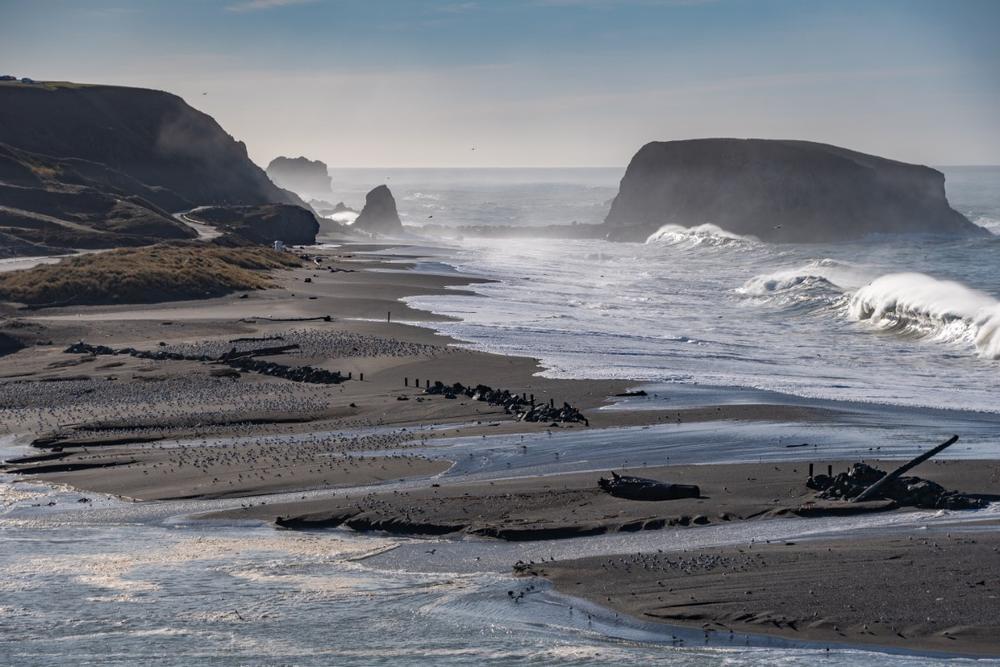 Goat Rock Beach - 40 minutes west of Santa Rosa