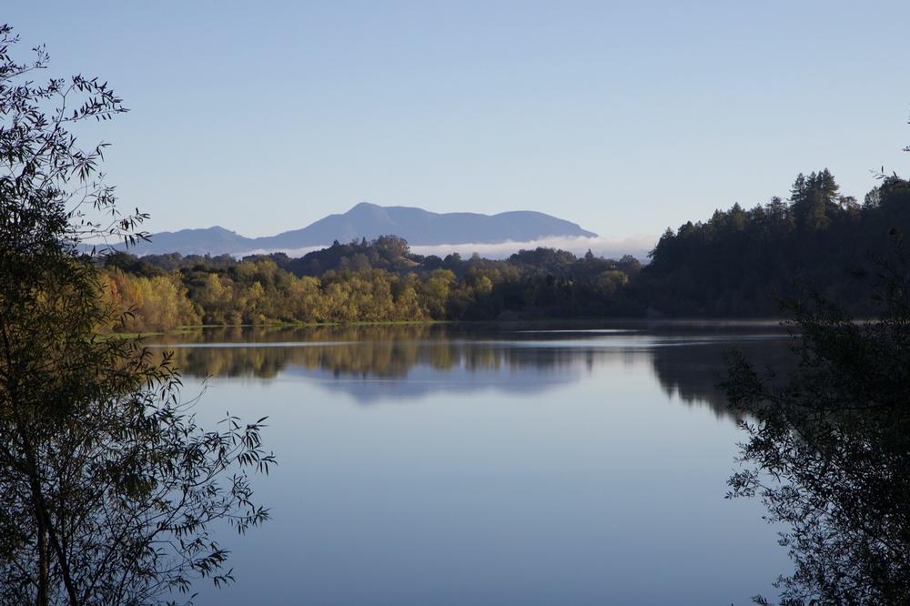 Riverfront Regional Park - 10 minutes from Healdsburg