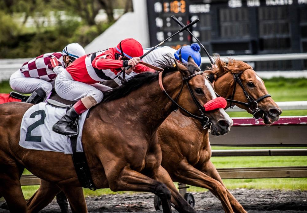 Feel the Rush at Louisiana Downs