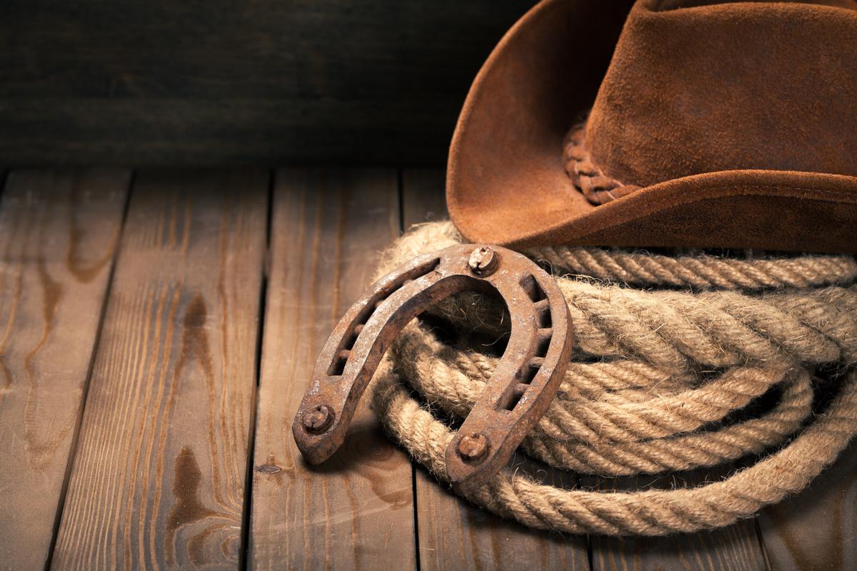 Catch Big Shows at Brookshire Grocery Arena