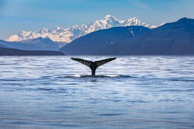 Alaska Overview