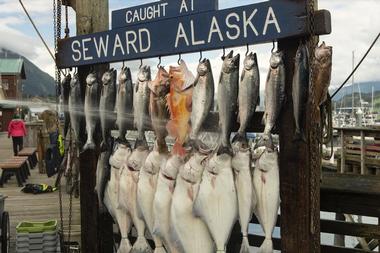 Activities and Economy in Alaska