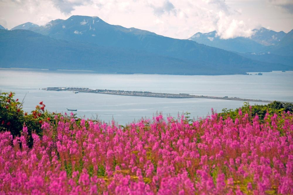 The Homer Spit - 4.5 hours south of Anchorage by car