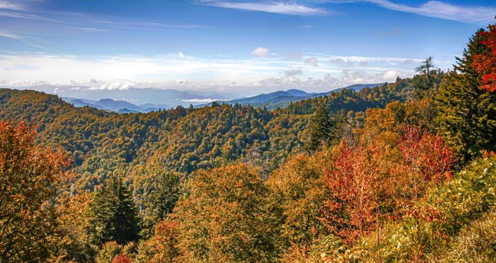 Smoky Mountain Camping