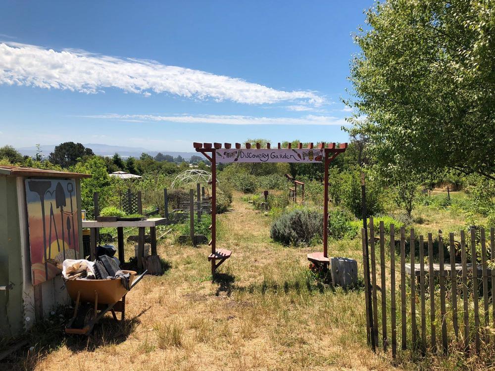If You Want to Inspire Young Minds, Visit Farm Discovery at Live Earth