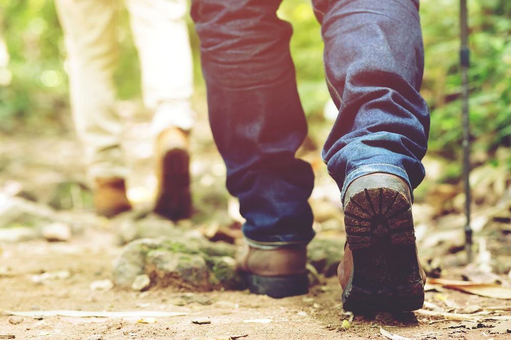Hike, Camp, and Soak Up Scenic Views at Mount Madonna County Park
