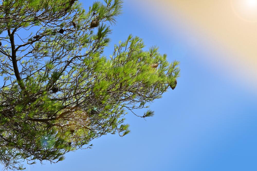 Possum Kingdom State Park