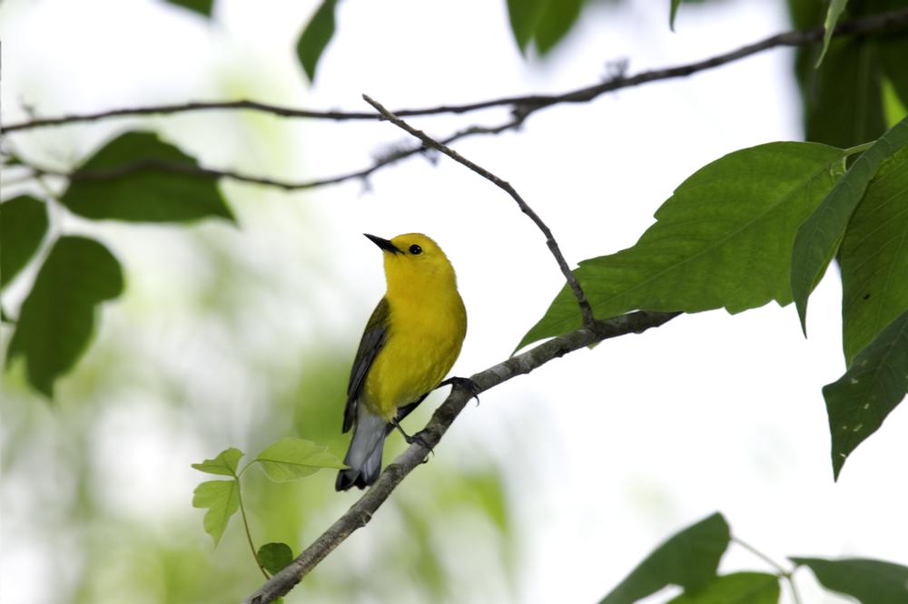 Acton State Park - 50 minutes from Fort Worth