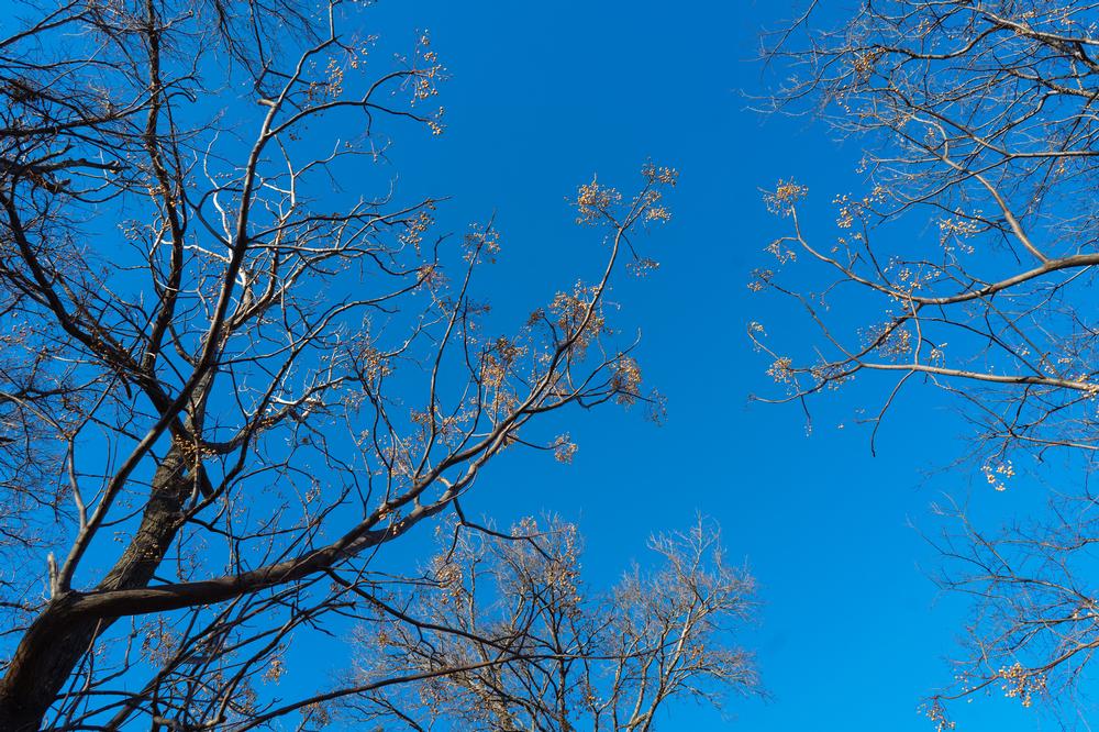 Big Spring State Park - 45 minutes from Midland
