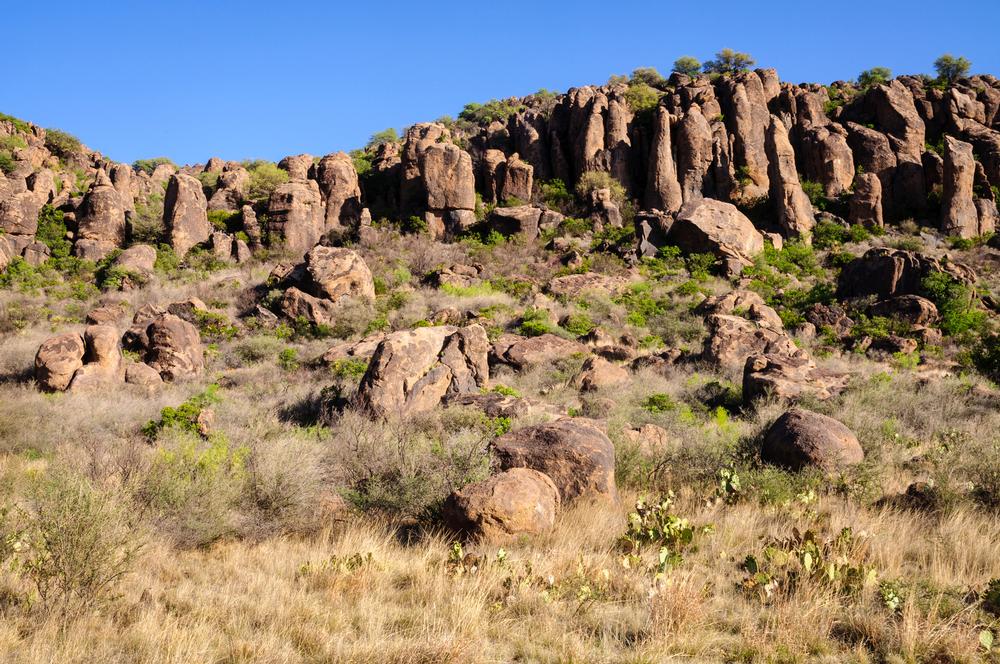Davis Mountains State Park - 3.5 hours from El Paso