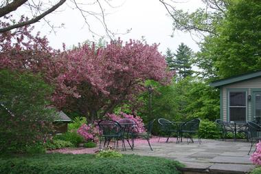 Weddings & Events