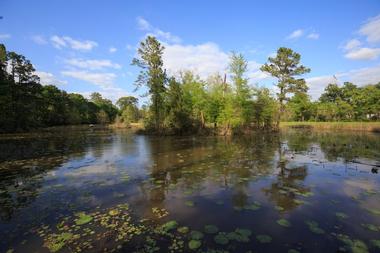 Houston Arboretum & Nature Center