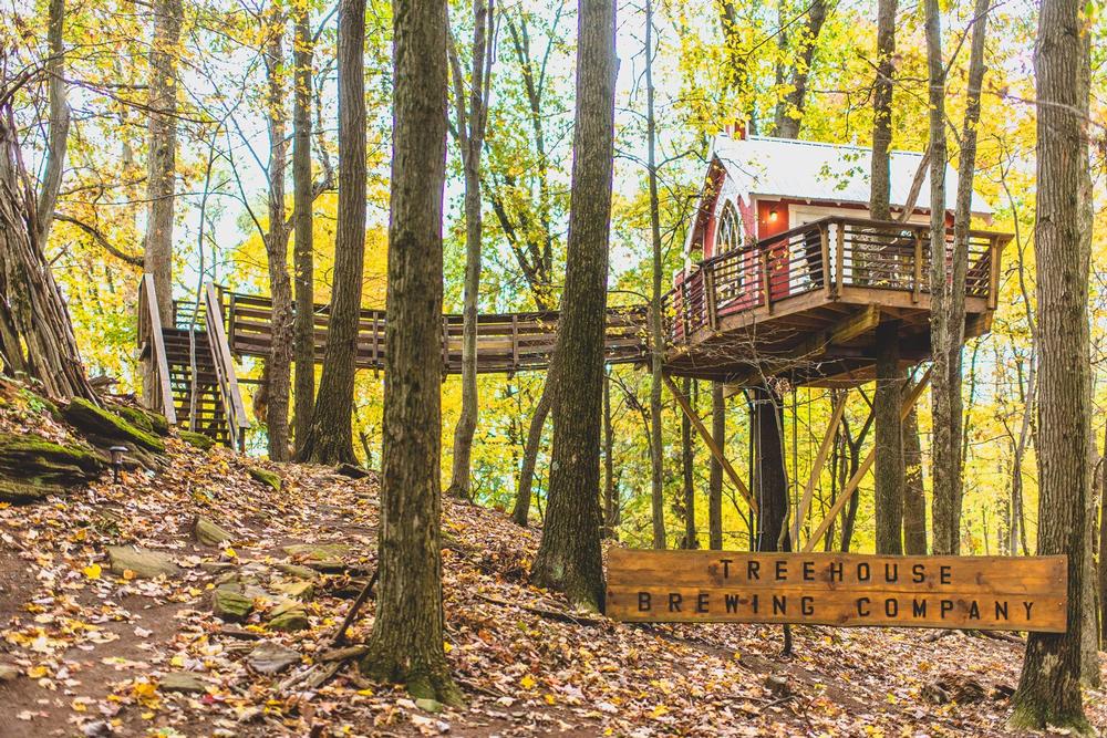 Stay in a treehouse and discover an unusual and exciting getaway trip.