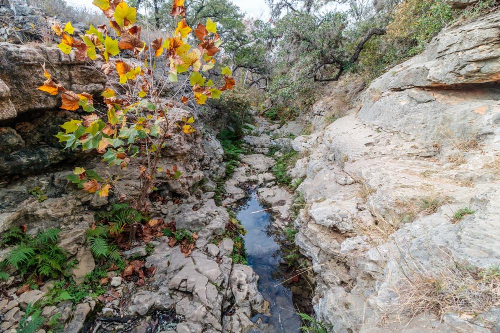Tour breweries and walk creekside paths on a laid-back couples day.