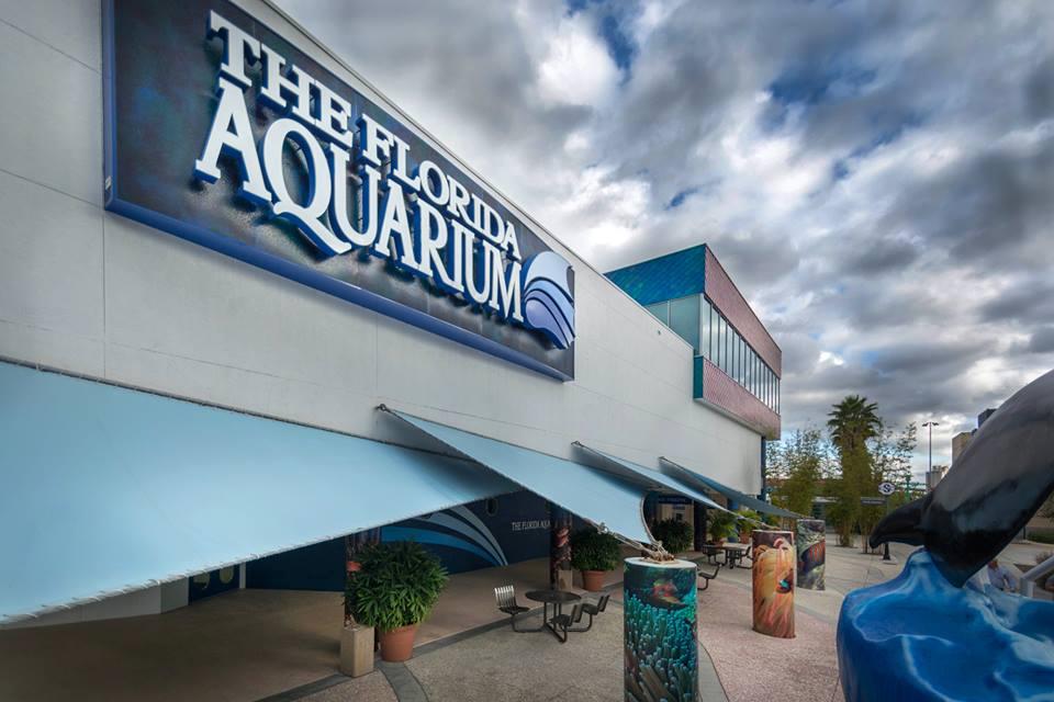 25 Best Aquariums in the United States