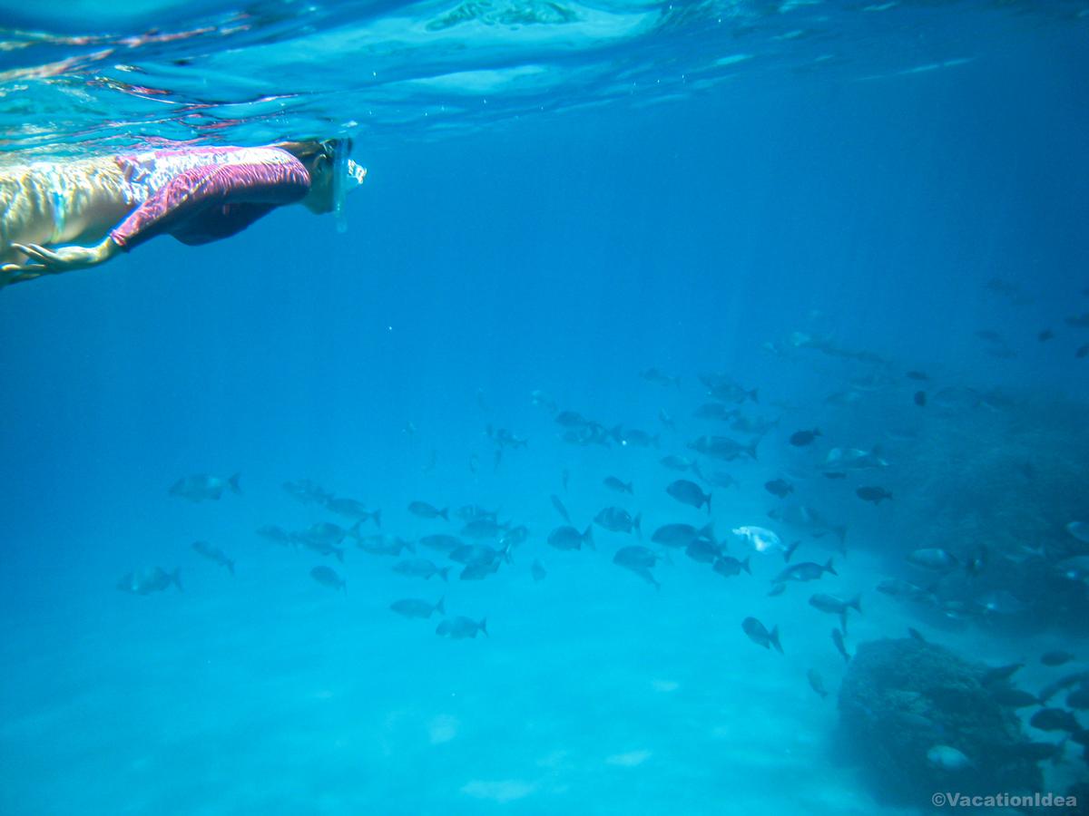 My photo of snorkeling in Hawaii