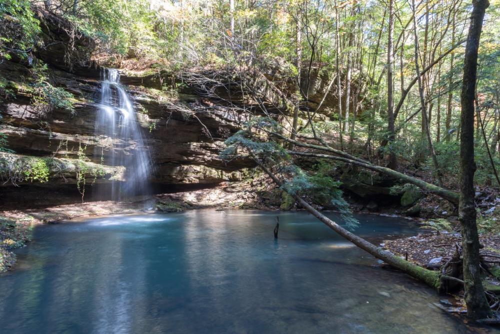 Bankhead National Forest - 1 hour and 30-minutes from Birmingham