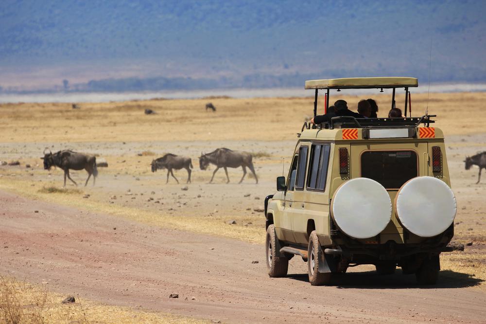 Expand Your Horizons with Smithsonian Journeys
