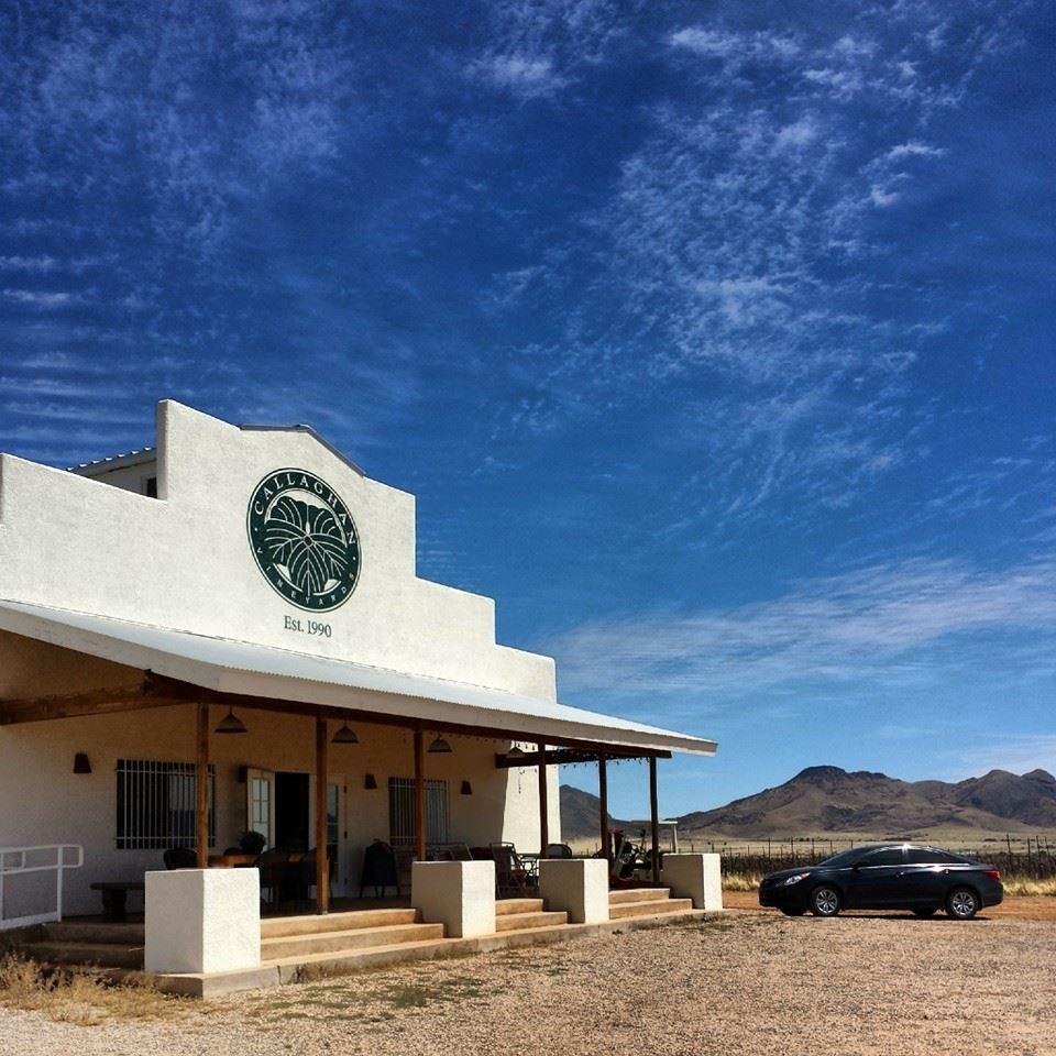Sip Bold, Award-Winning Wines Under the Arizona Sun at Callaghan Vineyards