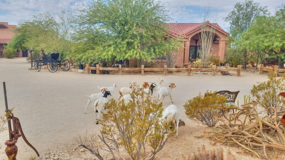 Stagecoach Trails Guest Ranch