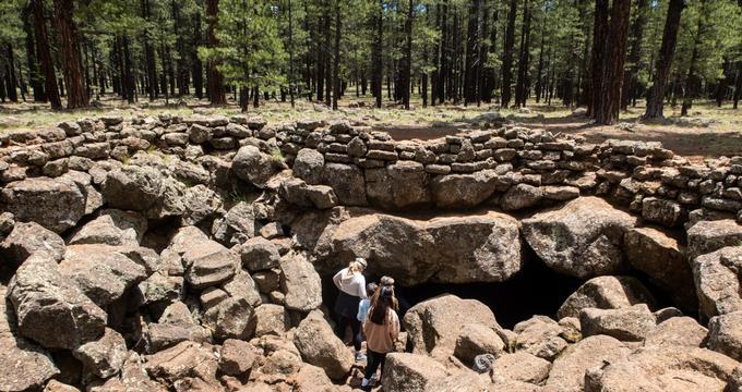 Hike through towering pine trees and discover scenic mountain trails.