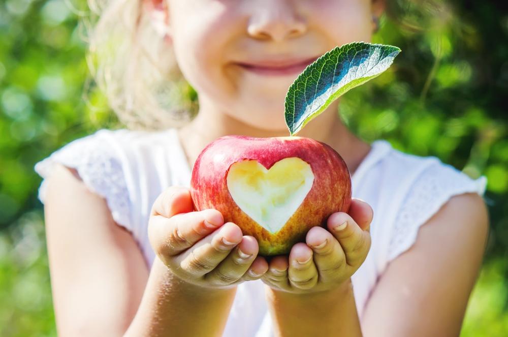 Pick Fresh Favorites and Savor the Season at Albeke Farms