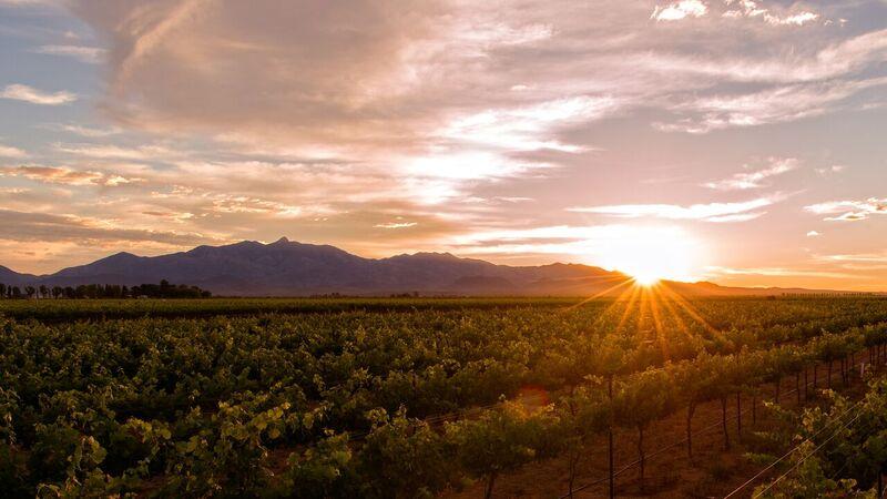 Relax With Scenic Views and Elegant Wines at Zarpara Vineyard