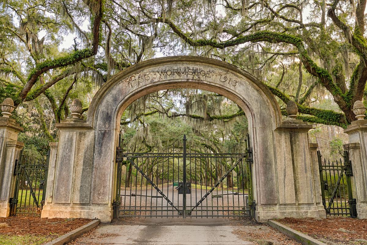 Explore historic Southern towns and admire beautifully preserved antebellum architecture.