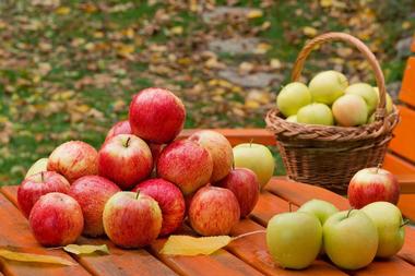 Green Mountain Orchards