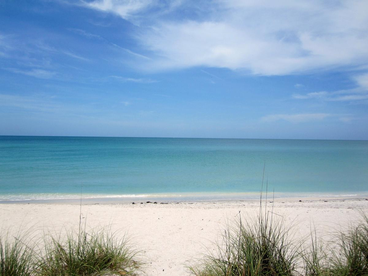 Gulf coast beach