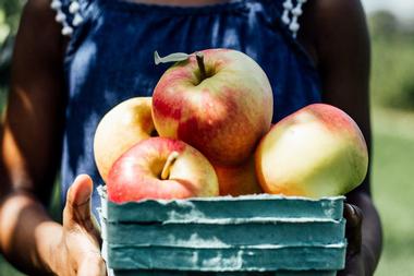 Minnetonka Orchards