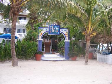 Blue Tang Inn