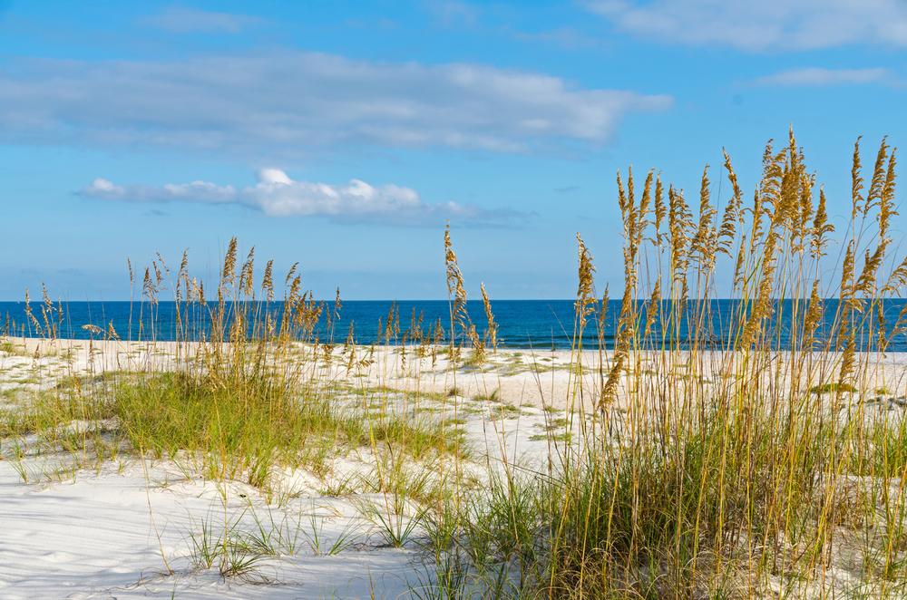 Florida Point Beach