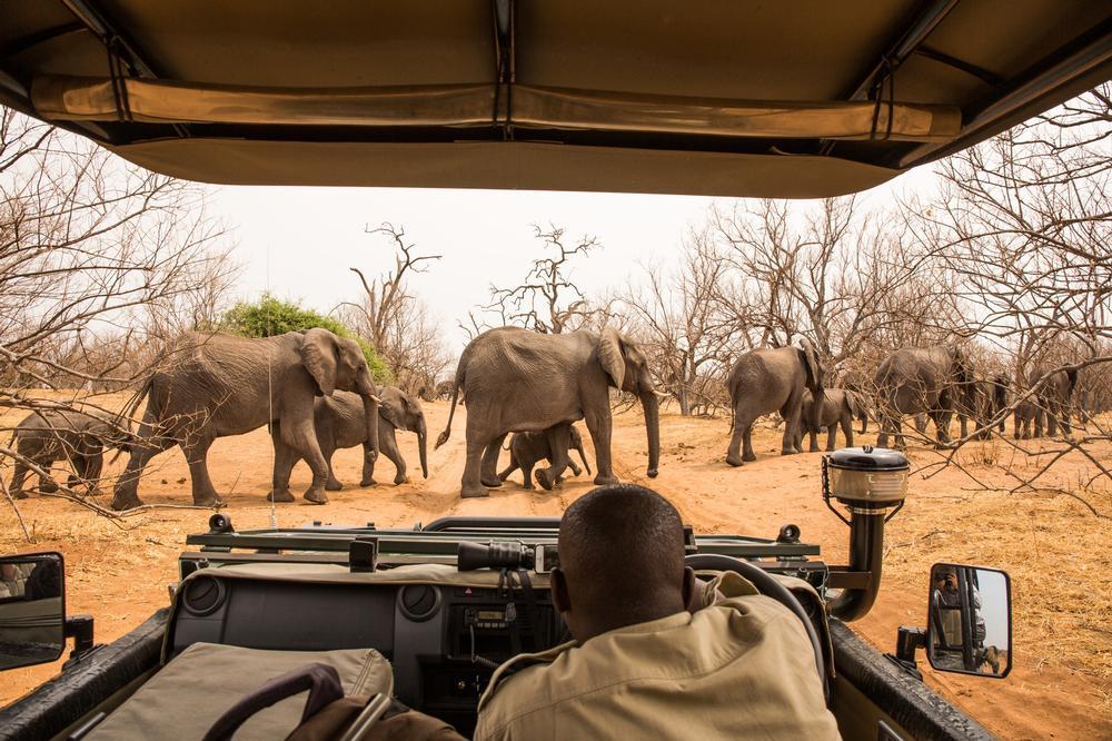 Travel with Purpose Through Elevate Destinations