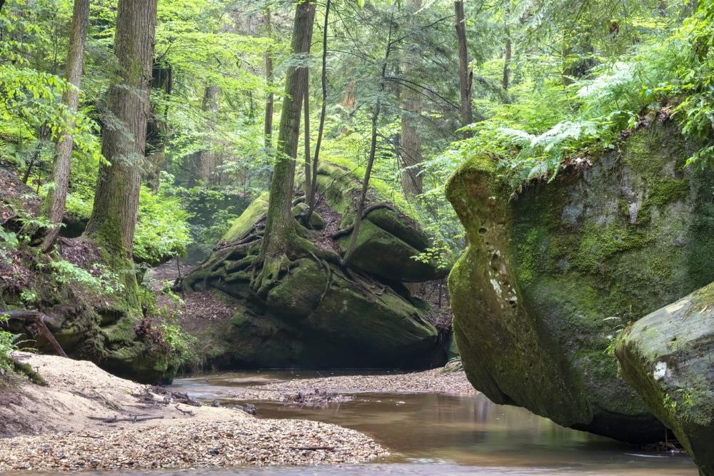 Explore glowing trails and admire rare plants on a magical fall hike.