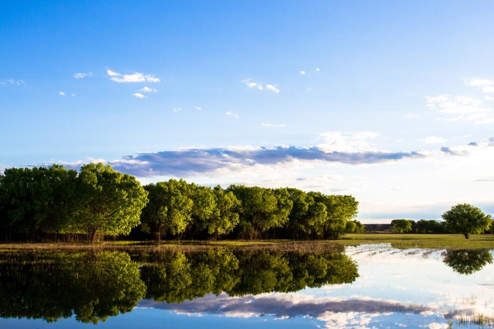 See migrating sandhill cranes or walk along peaceful wetland trails.