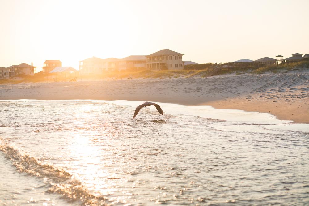 Tour a historic fort and relax on secluded sandy shores.