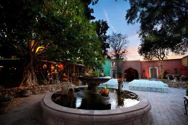 Outdoor Wedding Venues in Arizona: Boojum Tree