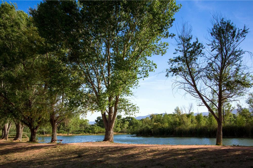 Dead Horse Ranch State Park - 1 hour and 45 minutes north of Phoenix