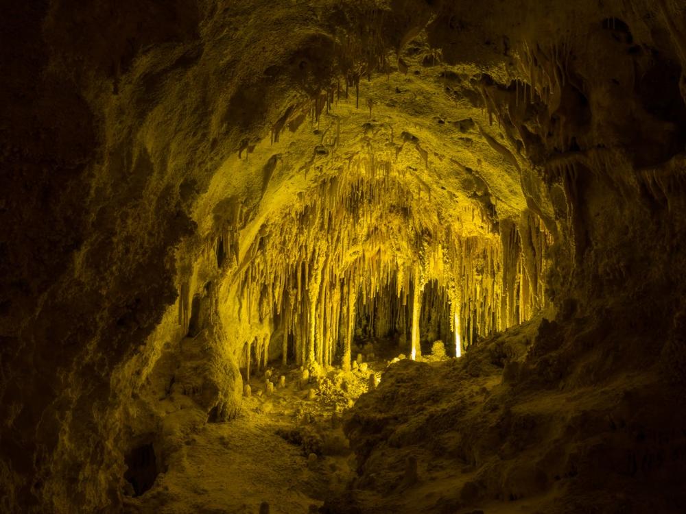 Descend into massive underground caves or watch thousands of bats take flight.